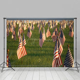 Aperturee - Aperturee American Flags Standing Grassland Mourn Backdrop